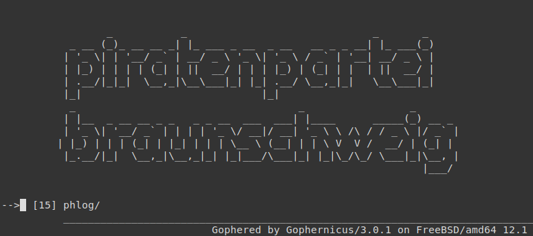 Modern Gopher menu rendered by a Gophernicus server in 2020 — nearly identical to the 1991 interface. Screenshot by Emil Engler, CC0, via Wikimedia Commons.
